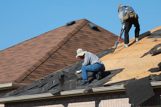 Professional  Roofing repair and installation in Temperance, MI
