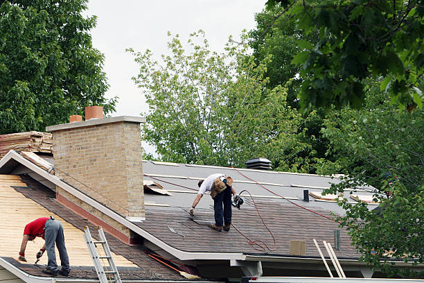 Best Storm Damage Roof Repair  in Temperance, MI