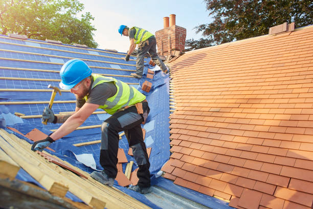 Best Skylight Installation and Repair  in Temperance, MI